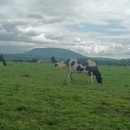 Birdhill Дом отдыха *